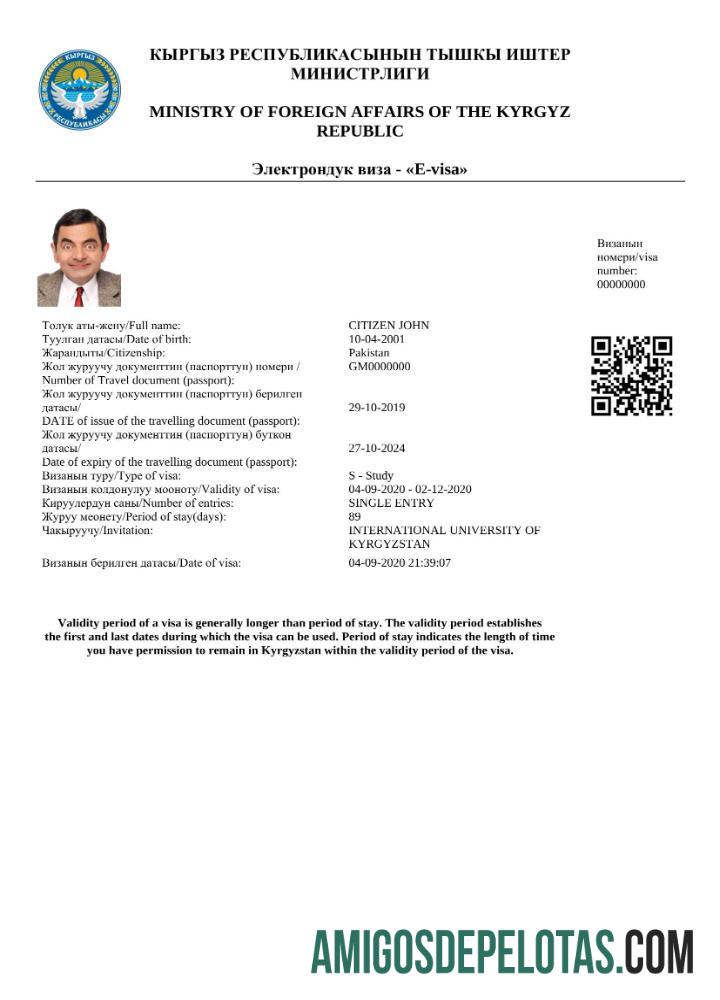 realista Modelo Word e PDF para visto E do Quirguistão